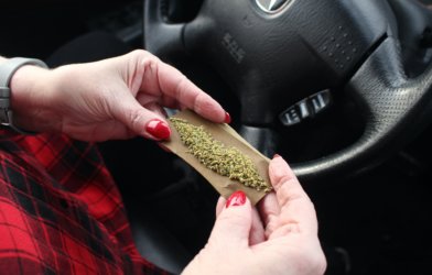 Woman rolling joint while driving car