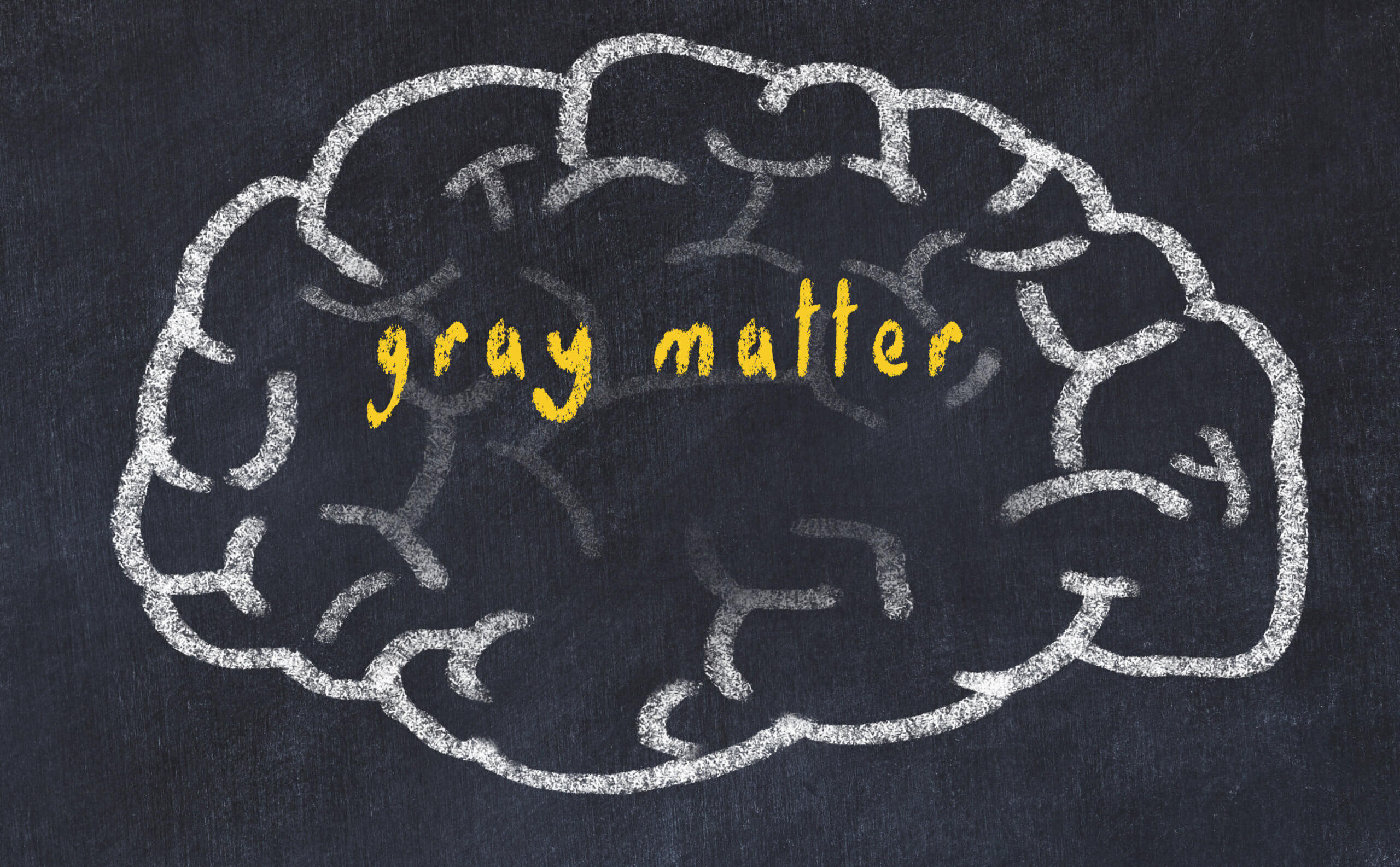 Gray matter levels linked to how fast we recover from mental health
