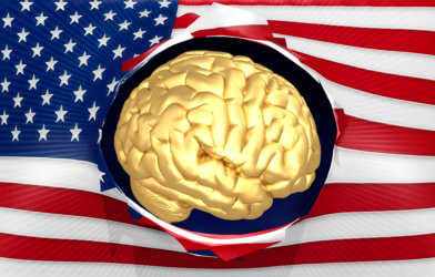 Brain - USA Flag