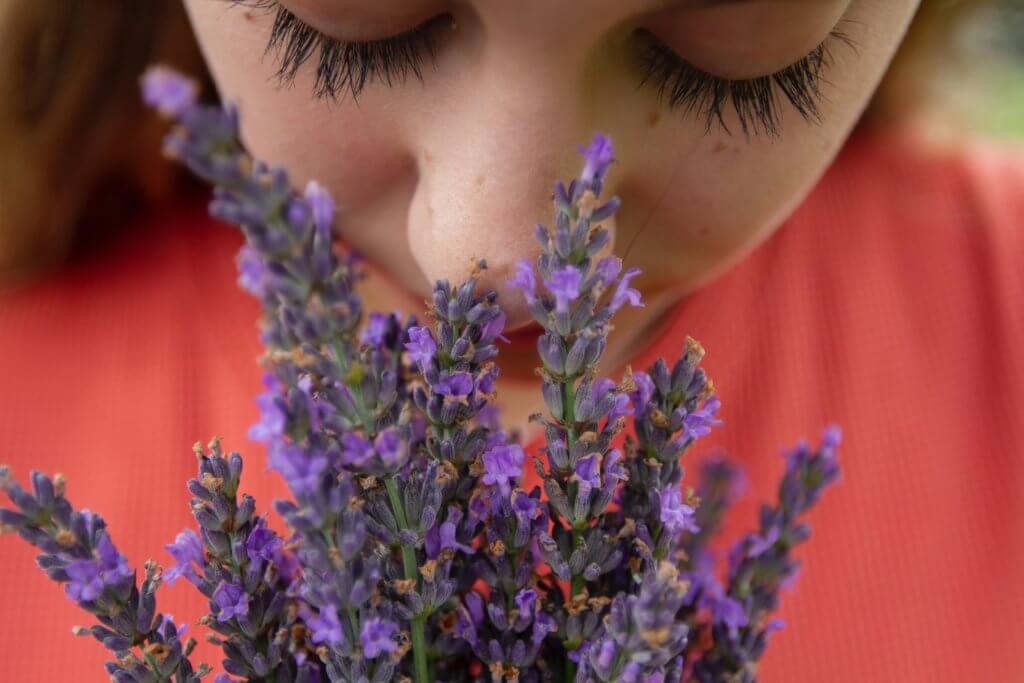 Woman smelling lavender flower blooms