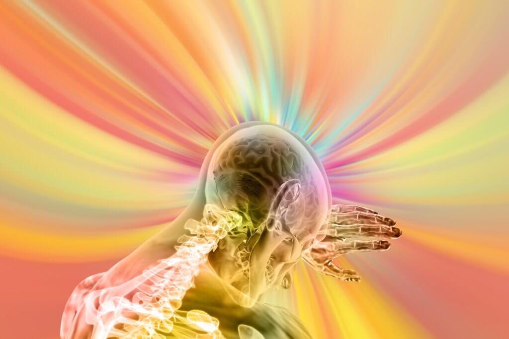 Brain, nervous system on colorful background