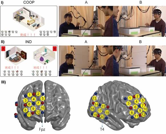 Overview of the experimental setup used to study brain synchronization during cooperative tasks.