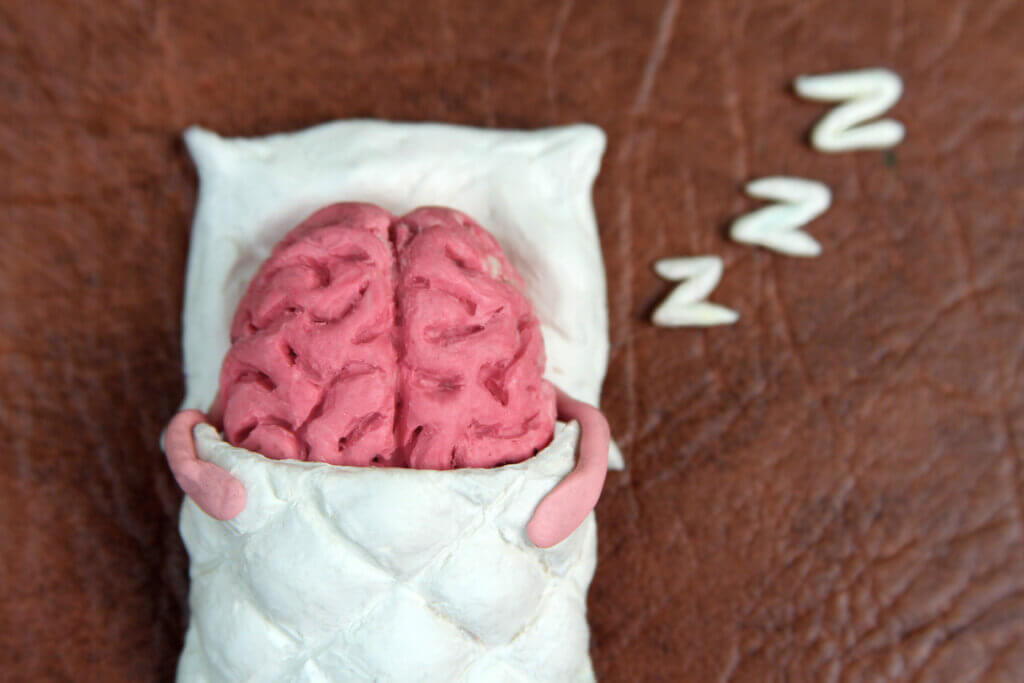 Sleeping brain