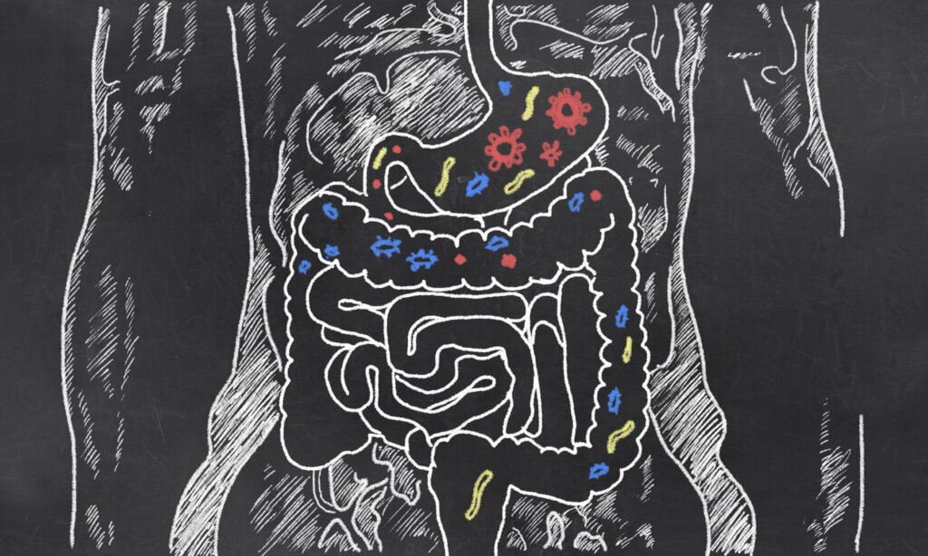 Microbiome and gut health