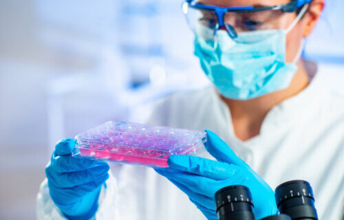 Stem cell researcher holds cultures in laboratory.
