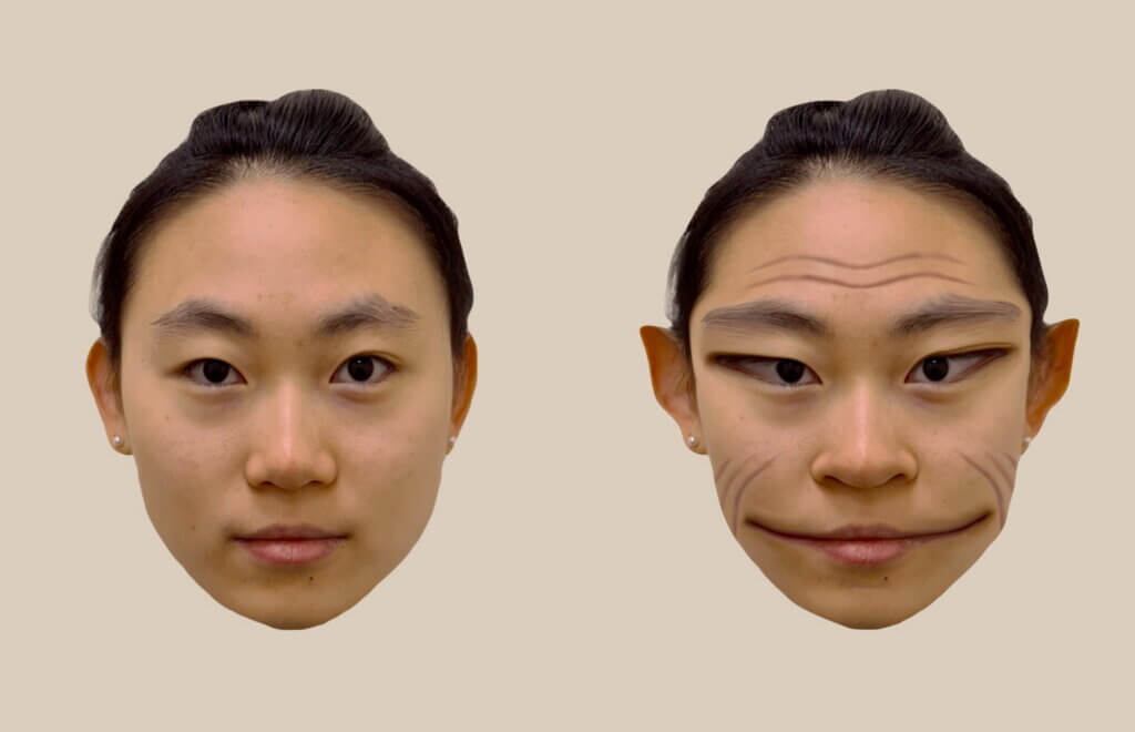 Computer-generated images of the distortions of a female face, as perceived by the patient in the study.